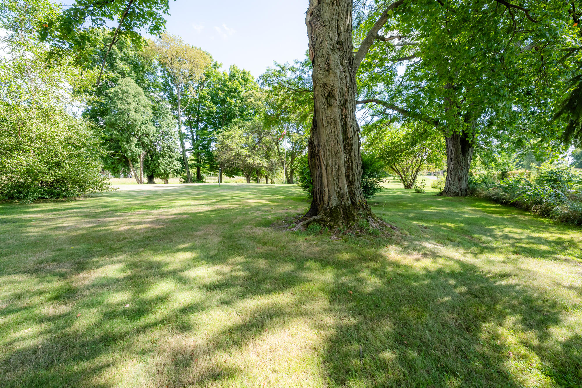 13228 Dutch Settlement Road Marcellus, MI 49067 - Photo 24 of 54 Mattawan-120