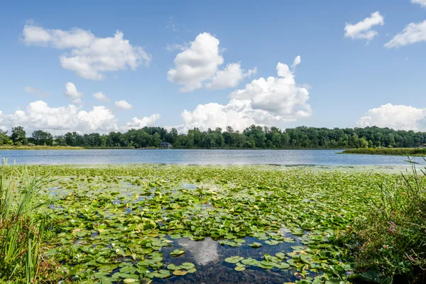 $500,000 | 13228 Dutch Settlement Road, Marcellus, MI 49067