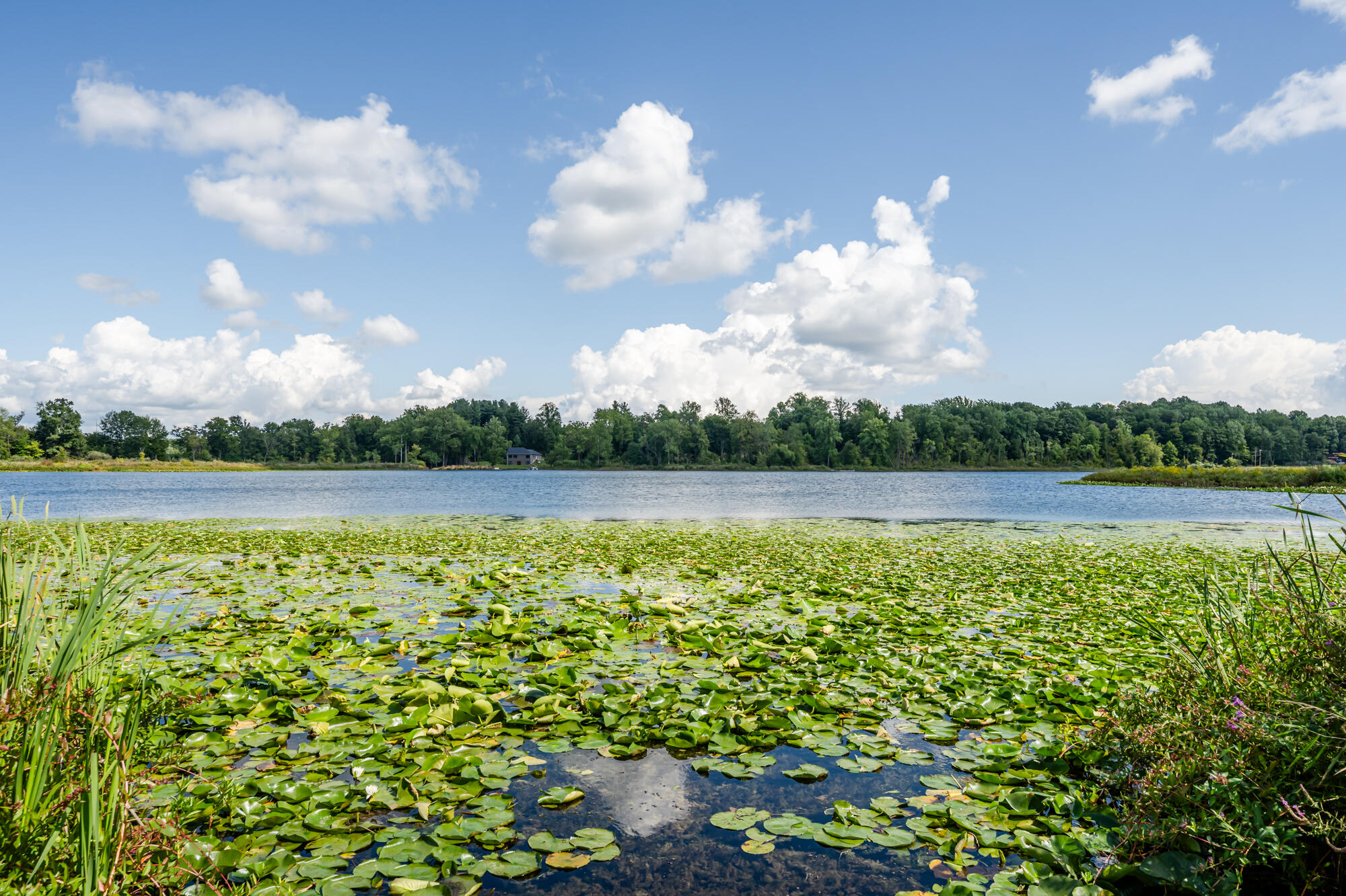 13228 Dutch Settlement Road Marcellus, MI 49067 - Photo 49 of 54 Mattawan-107