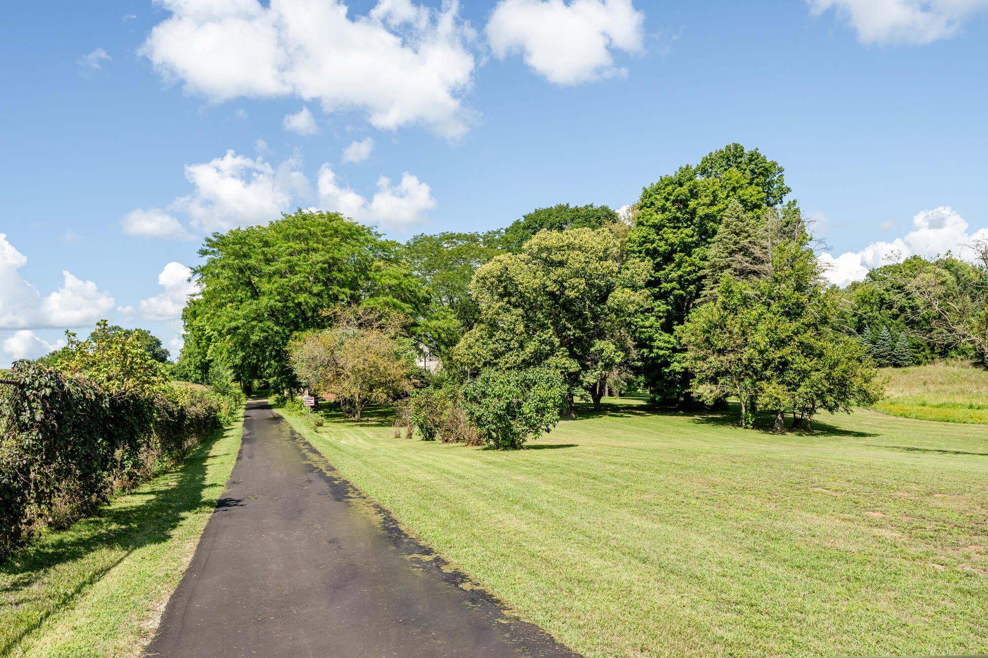 13228 Dutch Settlement Road Marcellus, MI 49067 - Photo 10 of 54 Mattawan-102