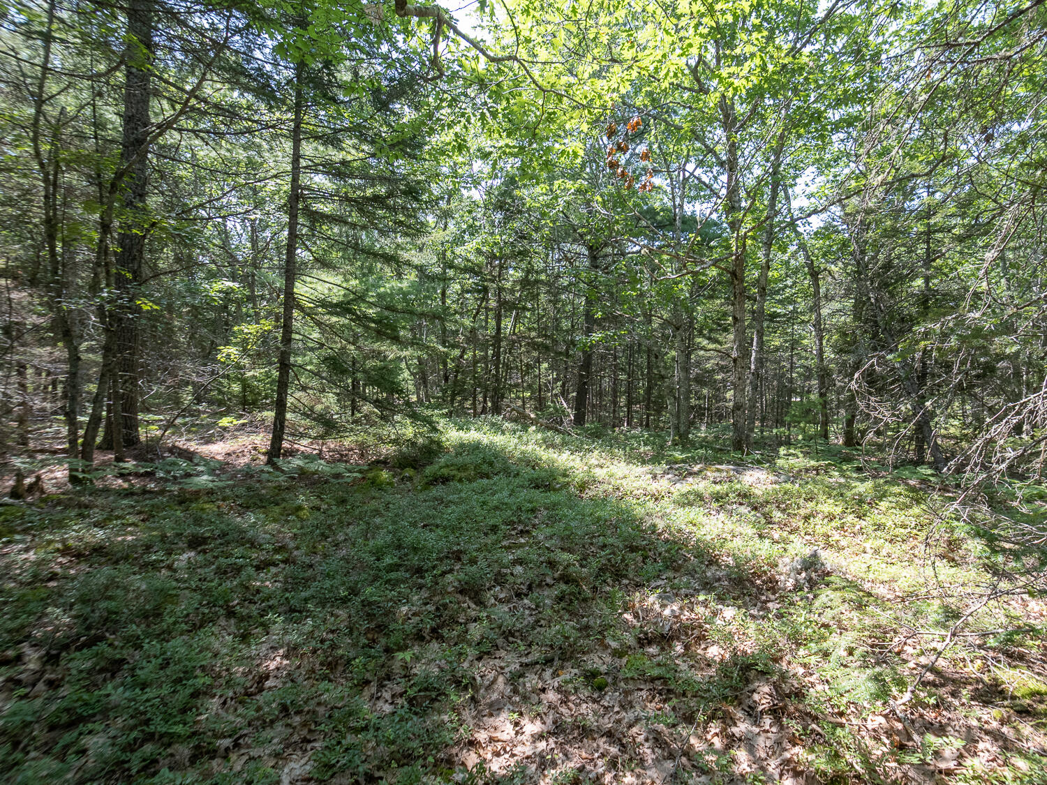 82 Sweet Fern Road Bar Harbor, ME 04609 - Photo 9 of 11 Sweet Fern Land