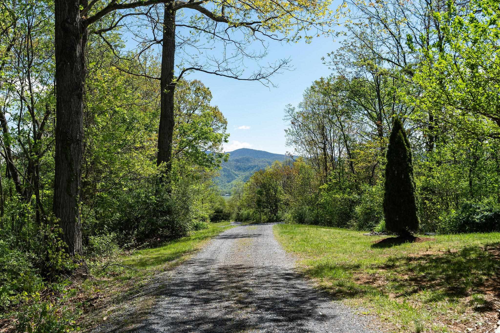 150 Fairfield Estates Drive Raphine, VA 24472 - Photo 59 of 75