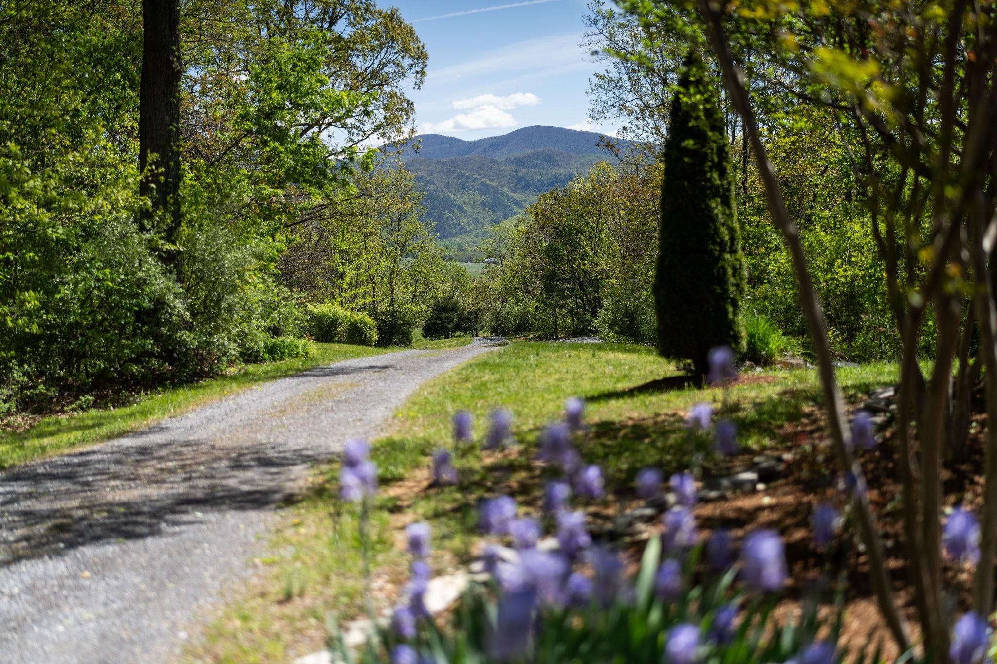 150 Fairfield Estates Drive Raphine, VA 24472 - Photo 74 of 75