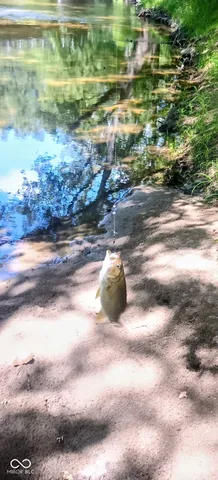 $785,000 | 26595 Mt Pleasant Road, Arcadia, IN 46030