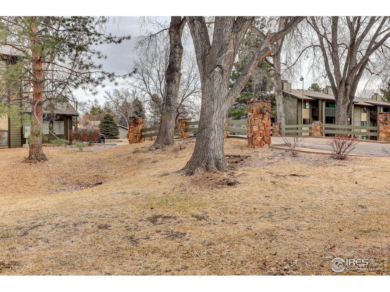 925 Columbia Road, Unit 716 Fort Collins, CO 80525 - Photo 15 of 17 a view of a yard with a tree