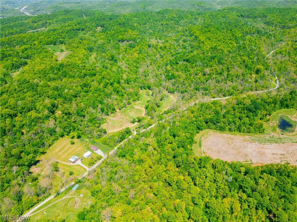 37500 Goose Run Road Dexter City, OH 45727 - Photo 13 of 50