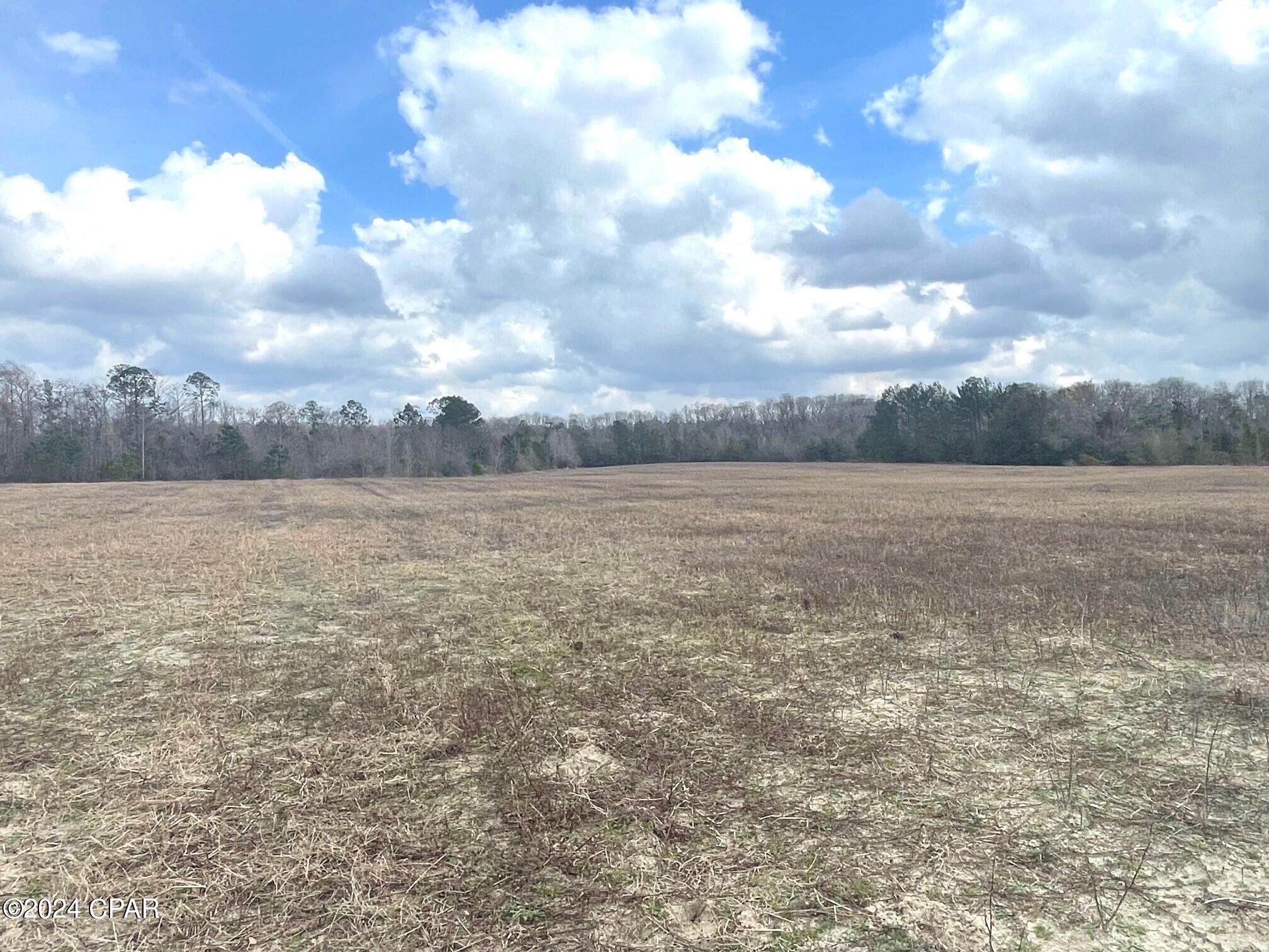 335-acres R M Ward Road Ponce de Leon, FL 32455 - Photo 21 of 37 Gallery Image 21