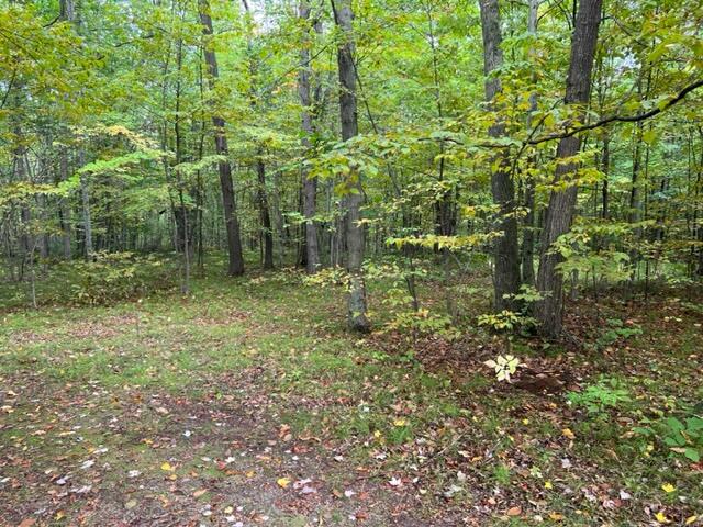 6953 Taft Road Mecosta, MI 49332 - Photo 16 of 36 IMG_3253