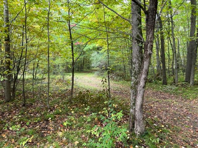 6953 Taft Road Mecosta, MI 49332 - Photo 17 of 36 IMG_3255
