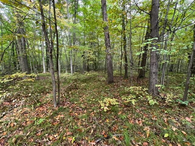 6953 Taft Road Mecosta, MI 49332 - Photo 18 of 36 IMG_3260