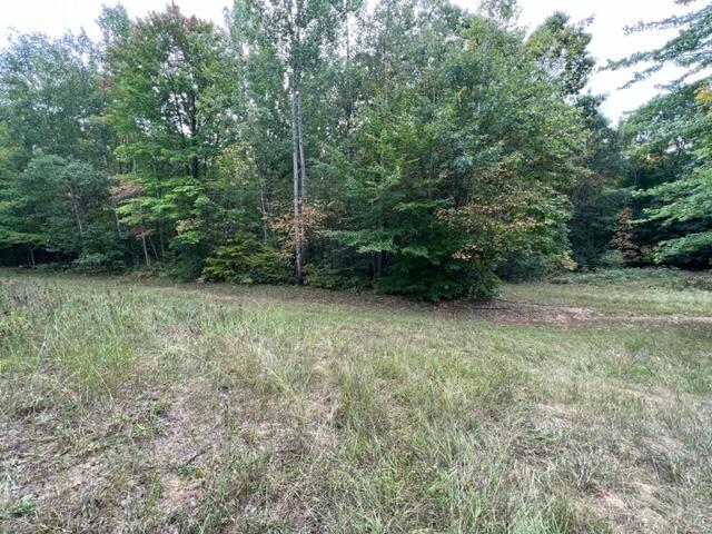 6953 Taft Road Mecosta, MI 49332 - Photo 24 of 36 IMG_3269