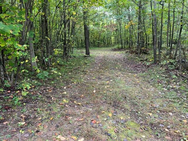 6953 Taft Road Mecosta, MI 49332 - Photo 27 of 36 IMG_3279