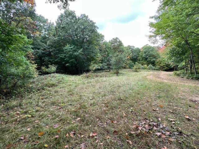 6953 Taft Road Mecosta, MI 49332 - Photo 28 of 36 IMG_3283