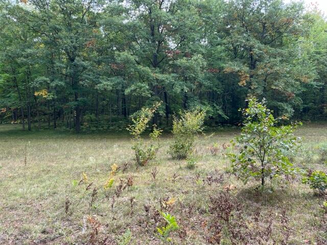 6953 Taft Road Mecosta, MI 49332 - Photo 29 of 36 IMG_3287