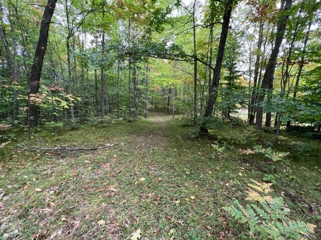 6953 Taft Road Mecosta, MI 49332 - Photo 30 of 36 IMG_3293