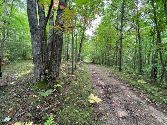 6953 Taft Road Mecosta, MI 49332 - Photo 31 of 36 IMG_3295