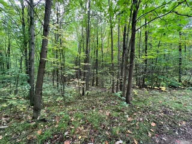 6953 Taft Road Mecosta, MI 49332 - Photo 32 of 36 IMG_3297