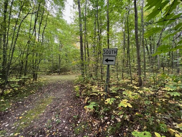 6953 Taft Road Mecosta, MI 49332 - Photo 33 of 36 IMG_3300