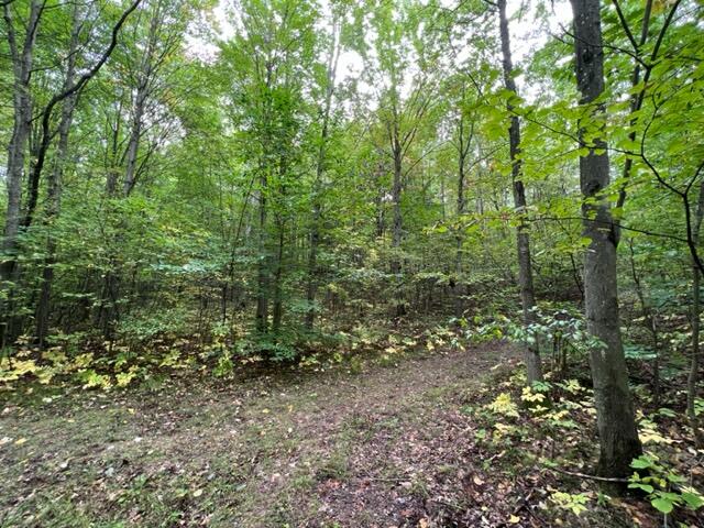 6953 Taft Road Mecosta, MI 49332 - Photo 34 of 36 IMG_3305