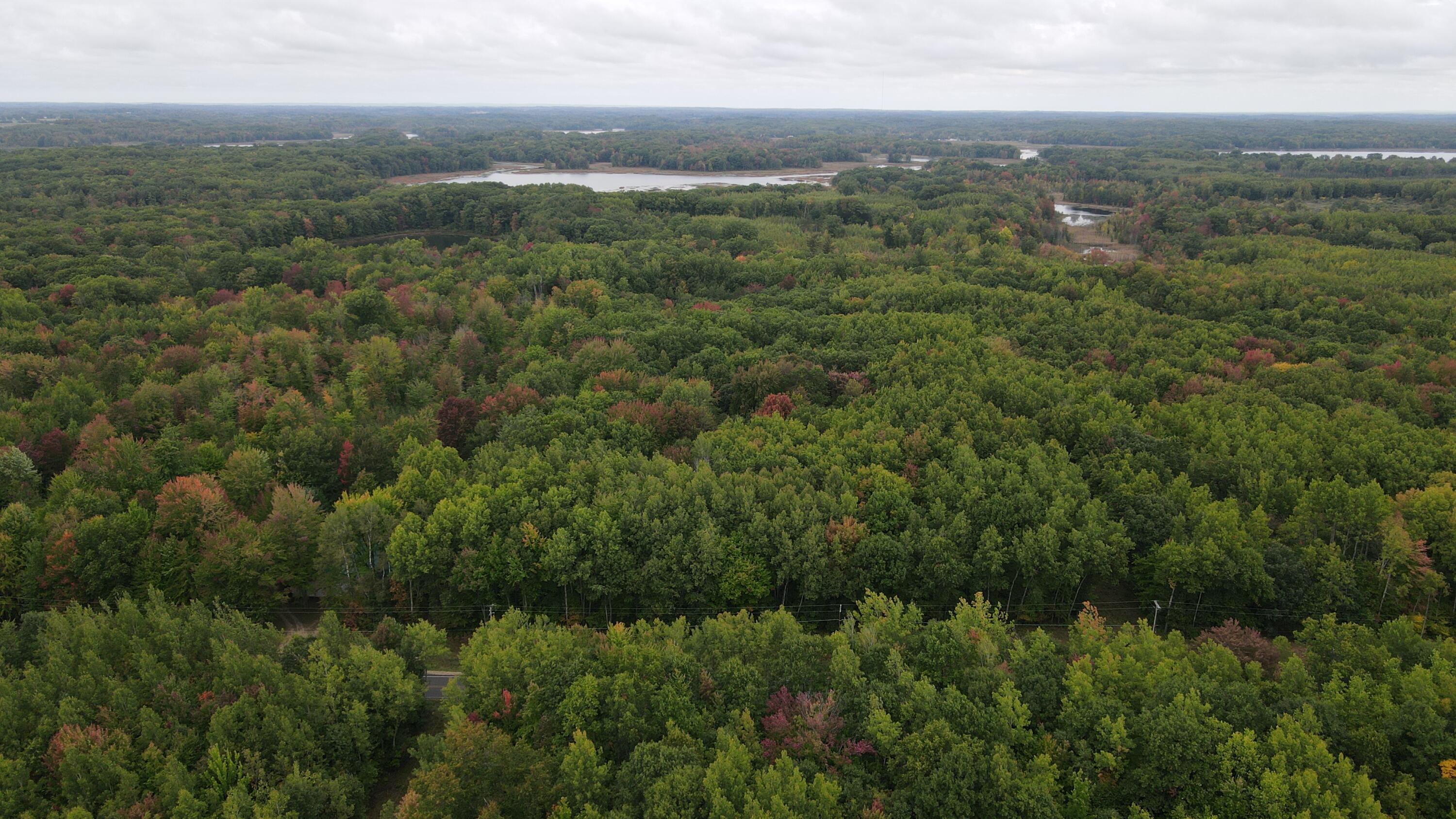 6953 Taft Road Mecosta, MI 49332 - Photo 7 of 36 DJI_0569