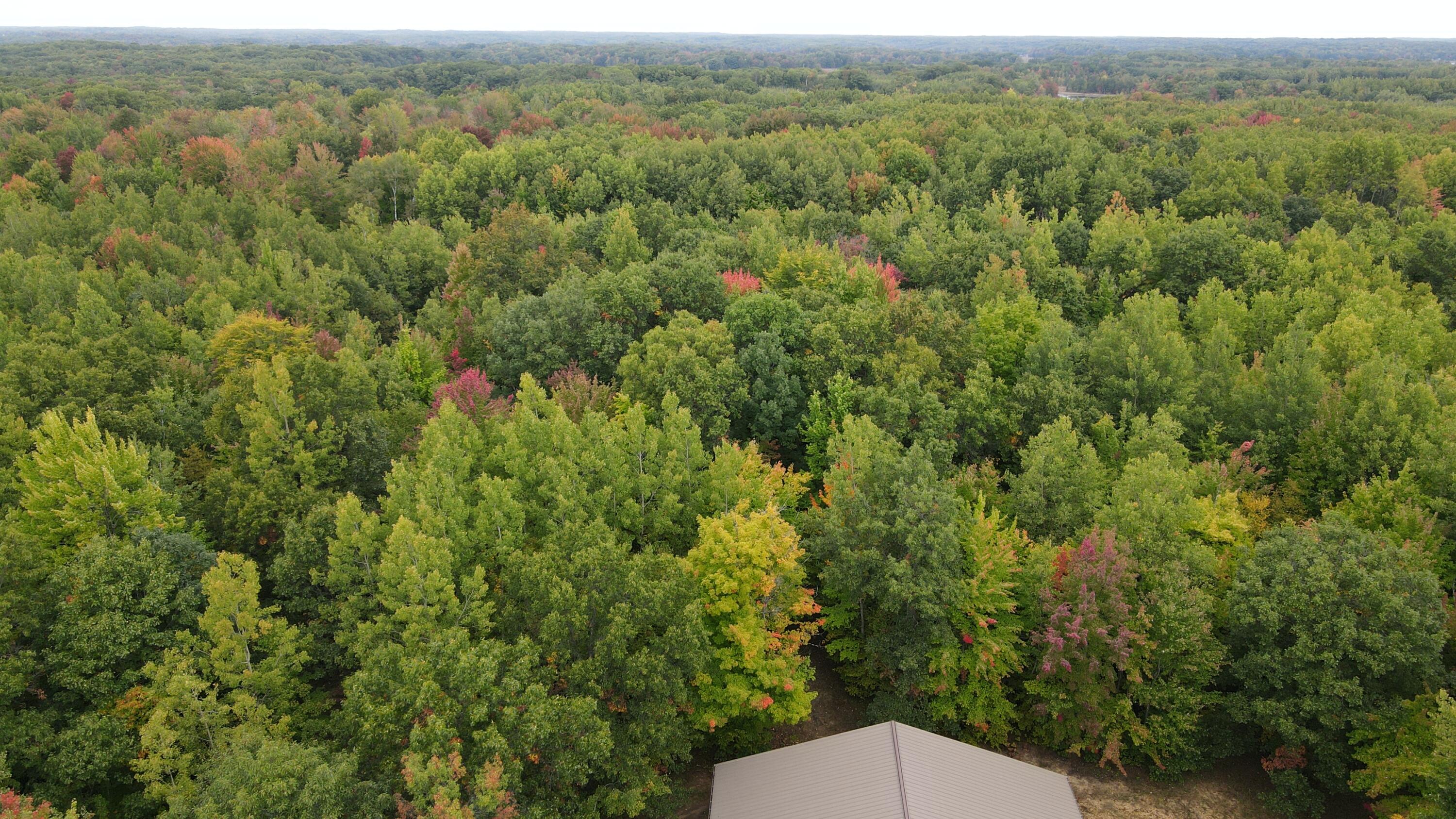 6953 Taft Road Mecosta, MI 49332 - Photo 10 of 36 DJI_0581