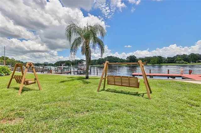 a view of a wooden bench and a tree