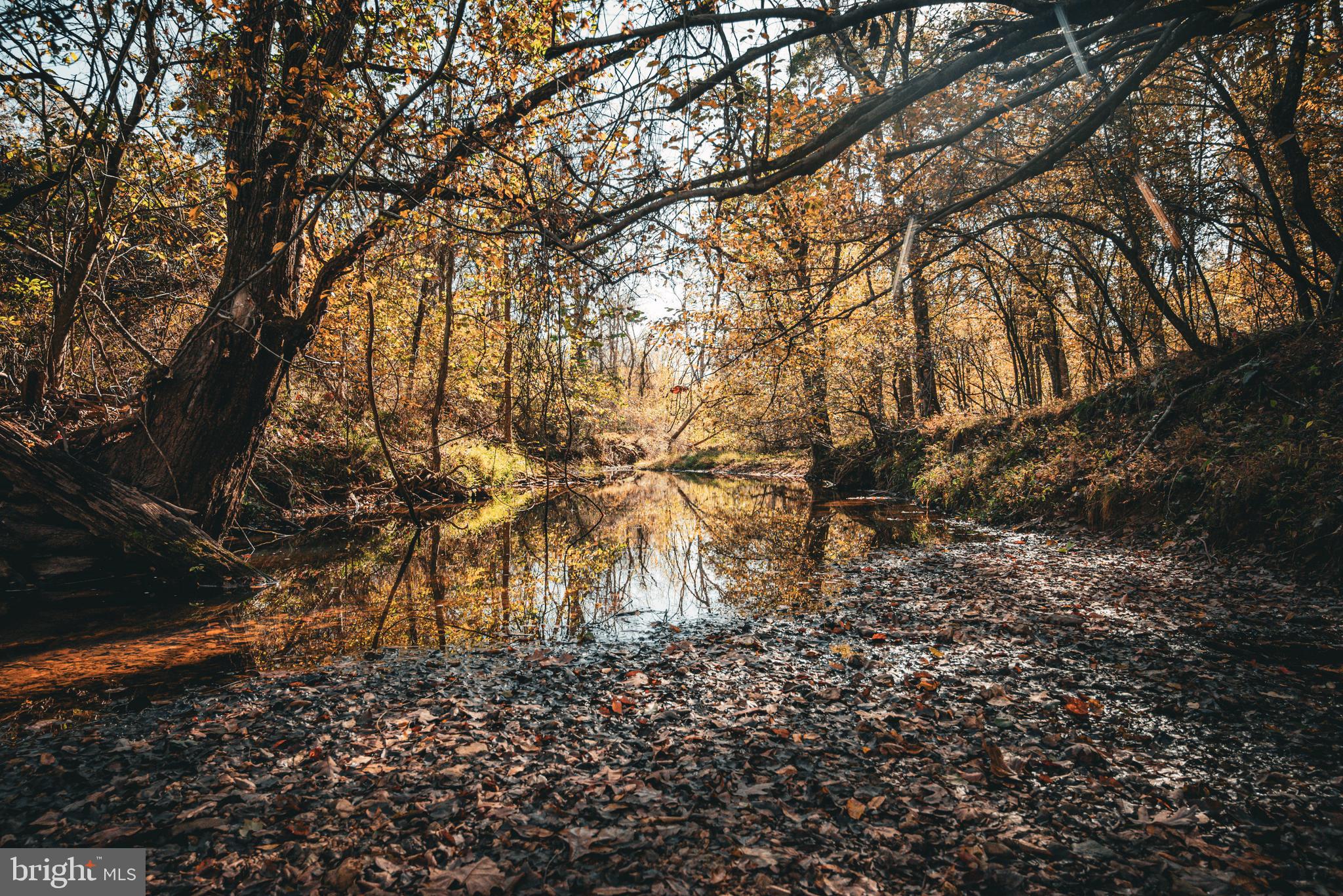 a view of yard with green space