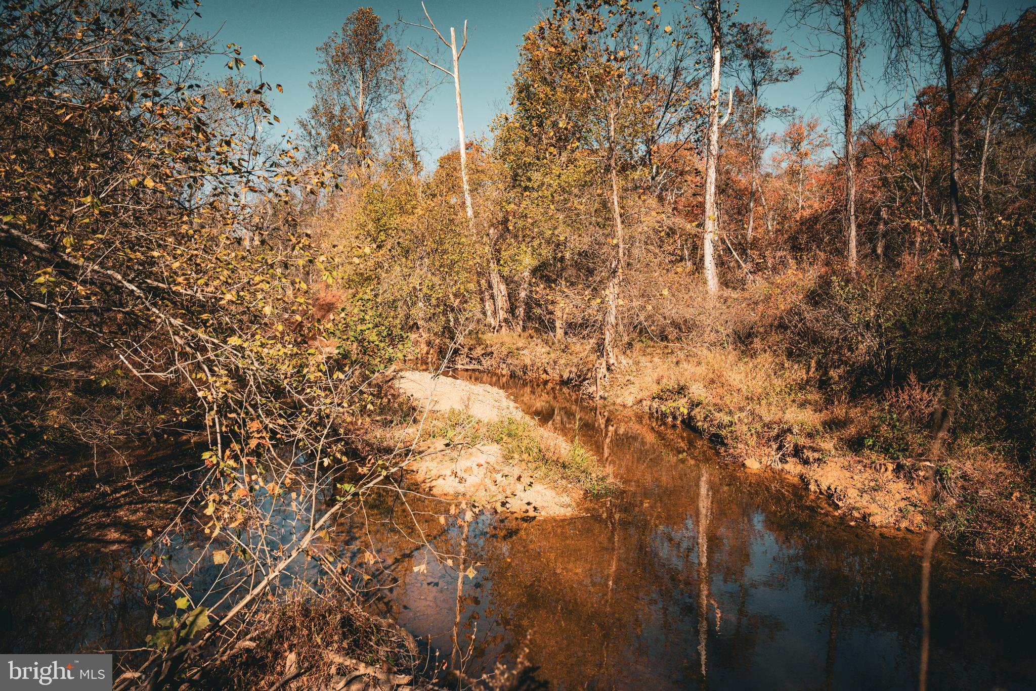 14603 Cox Mill Road Gordonsville, VA 22942 - Photo 23 of 61