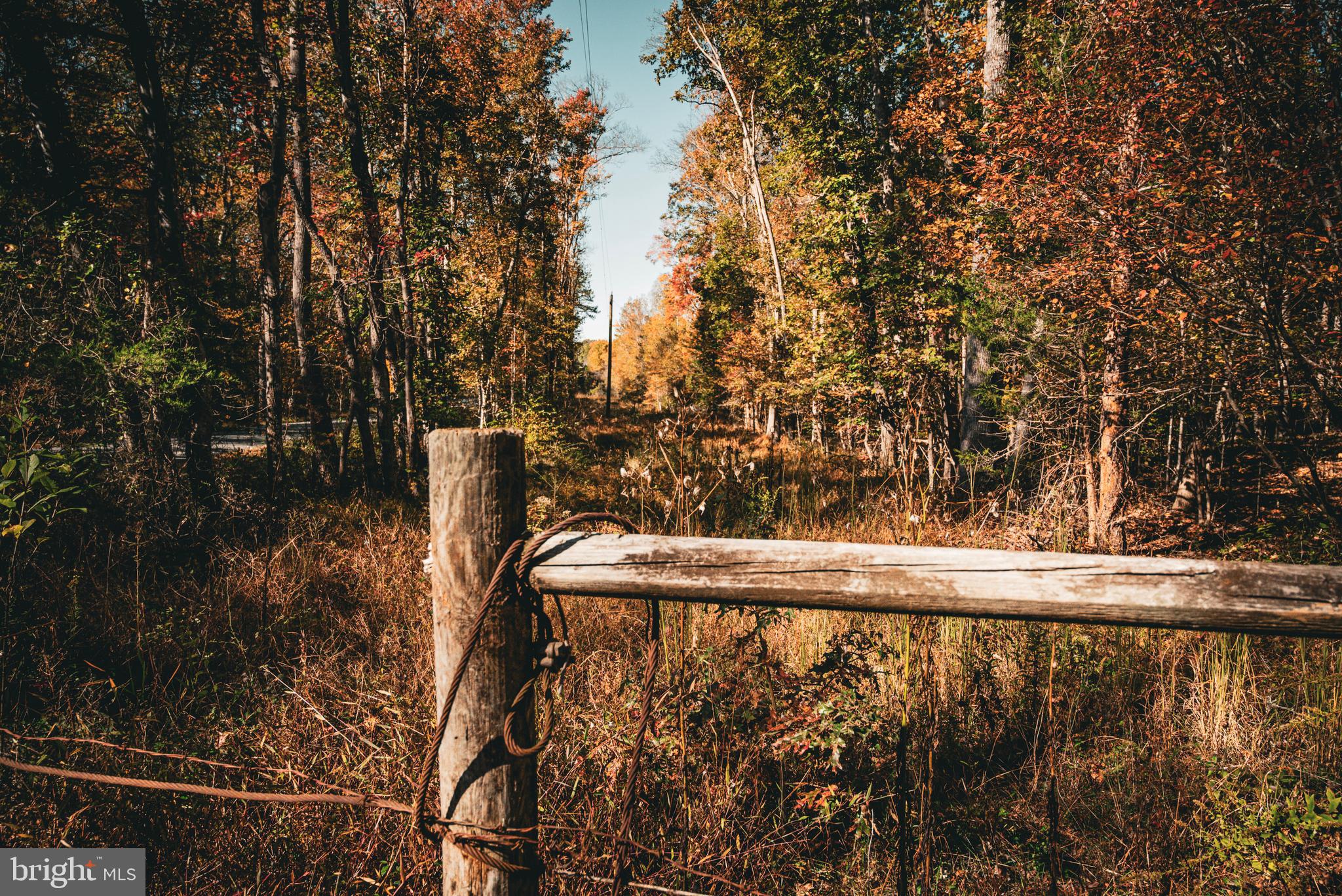 14603 Cox Mill Road Gordonsville, VA 22942 - Photo 43 of 61 a view of outdoor space and garden