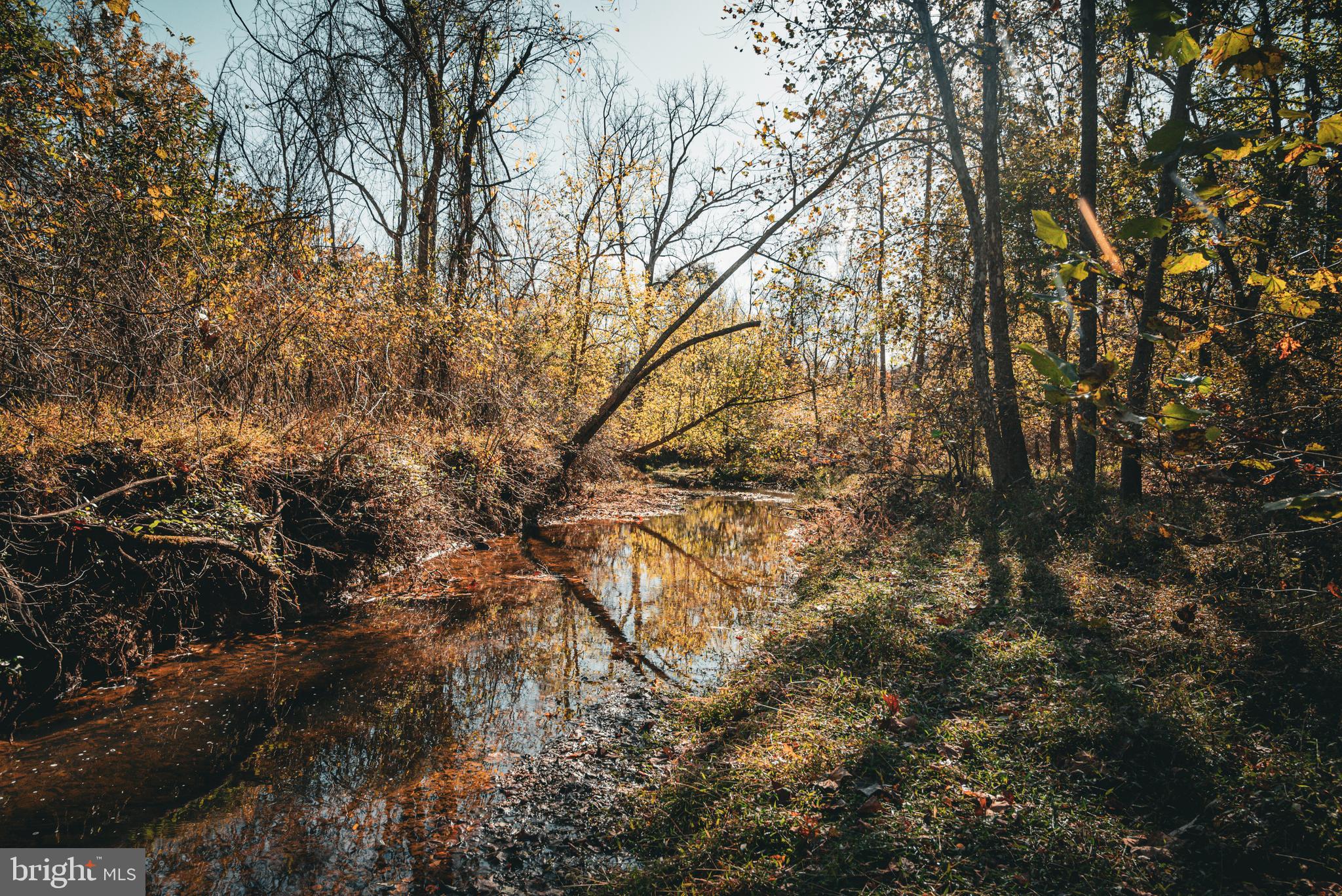 14603 Cox Mill Road Gordonsville, VA 22942 - Photo 5 of 61 a view of tree