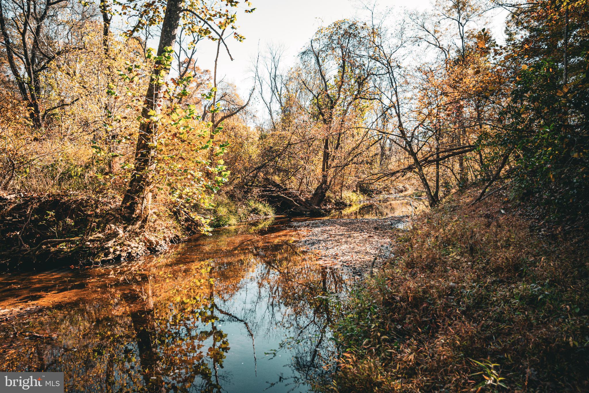 14603 Cox Mill Road Gordonsville, VA 22942 - Photo 6 of 61 a view of tree