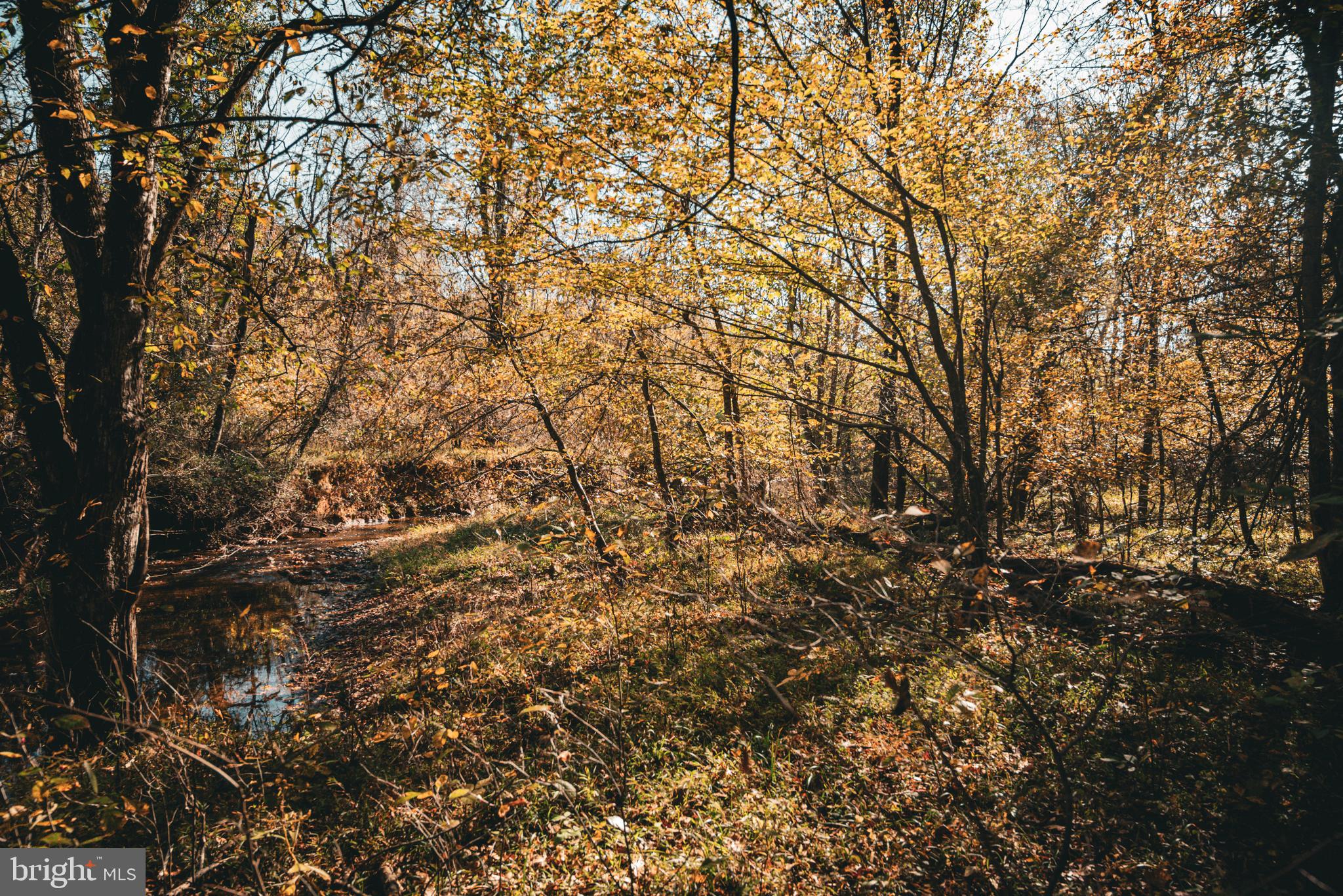 14603 Cox Mill Road Gordonsville, VA 22942 - Photo 7 of 61 a view of a yard