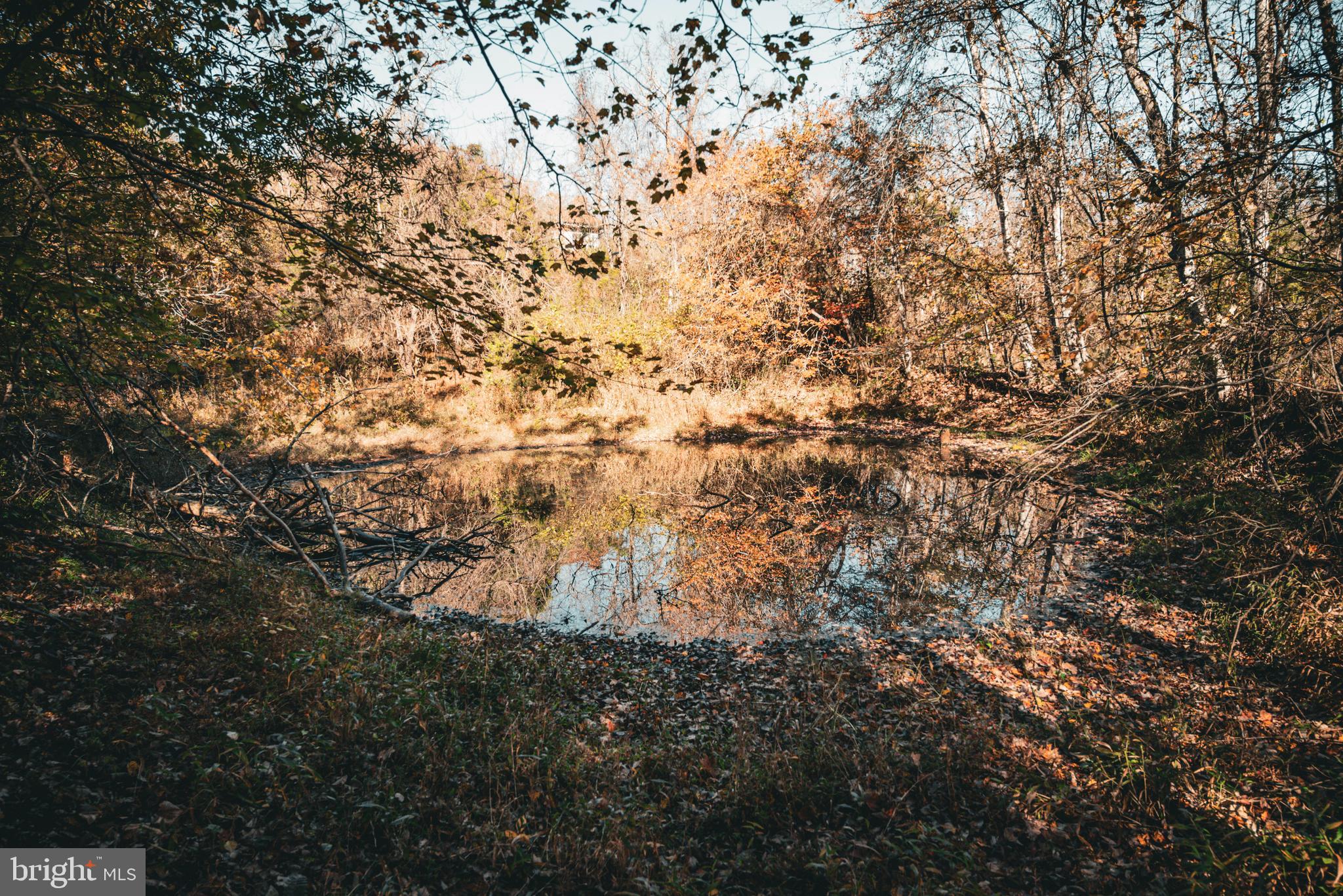 14603 Cox Mill Road Gordonsville, VA 22942 - Photo 10 of 61 a view of a yard
