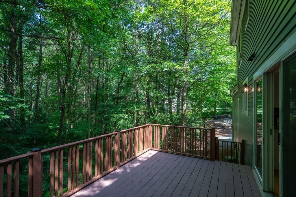 37 Woodlot Road Amherst, MA 01002 - Photo 4 of 42 Gallery Image 4