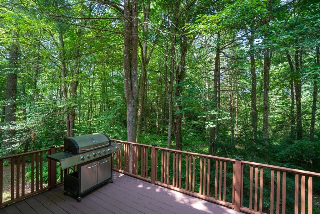 37 Woodlot Road Amherst, MA 01002 - Photo 5 of 42 Gallery Image 5