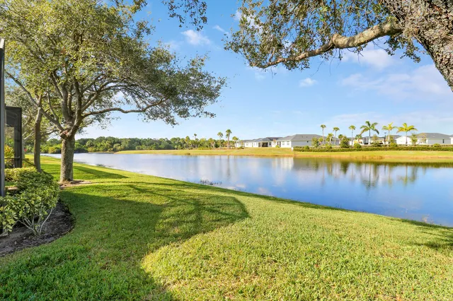 a view of a park with large trees