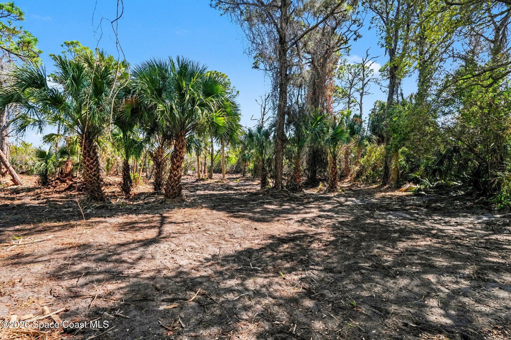 0 Via Roma Merritt Island, FL 32952 - Photo 16 of 21 a view of a backyard with large trees