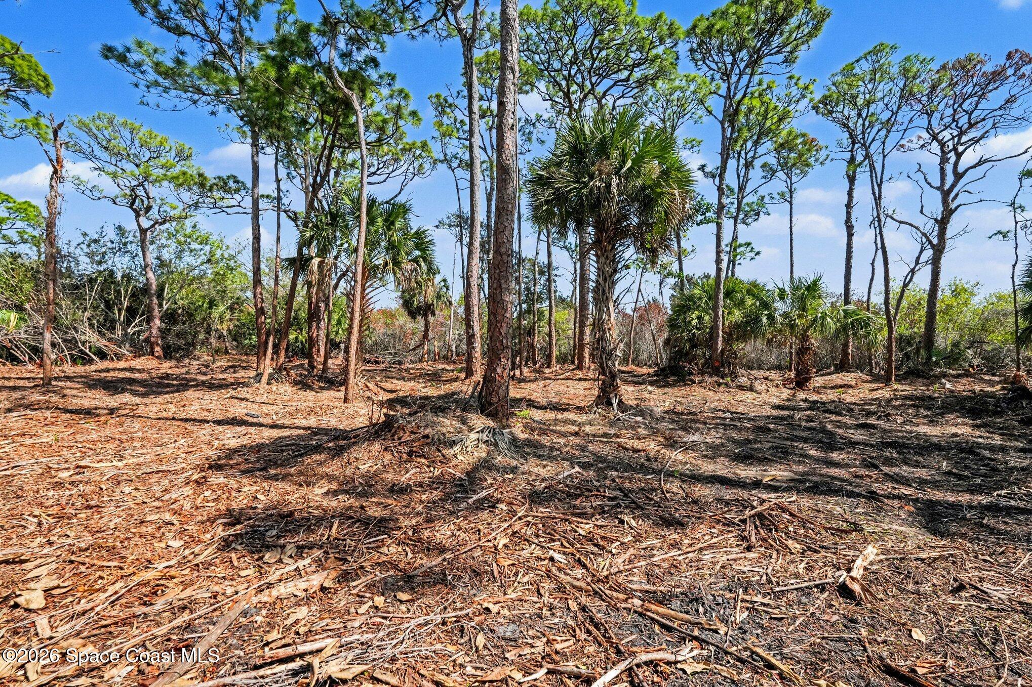 0 Via Roma Merritt Island, FL 32952 - Photo 20 of 21 a view of outdoor space with trees