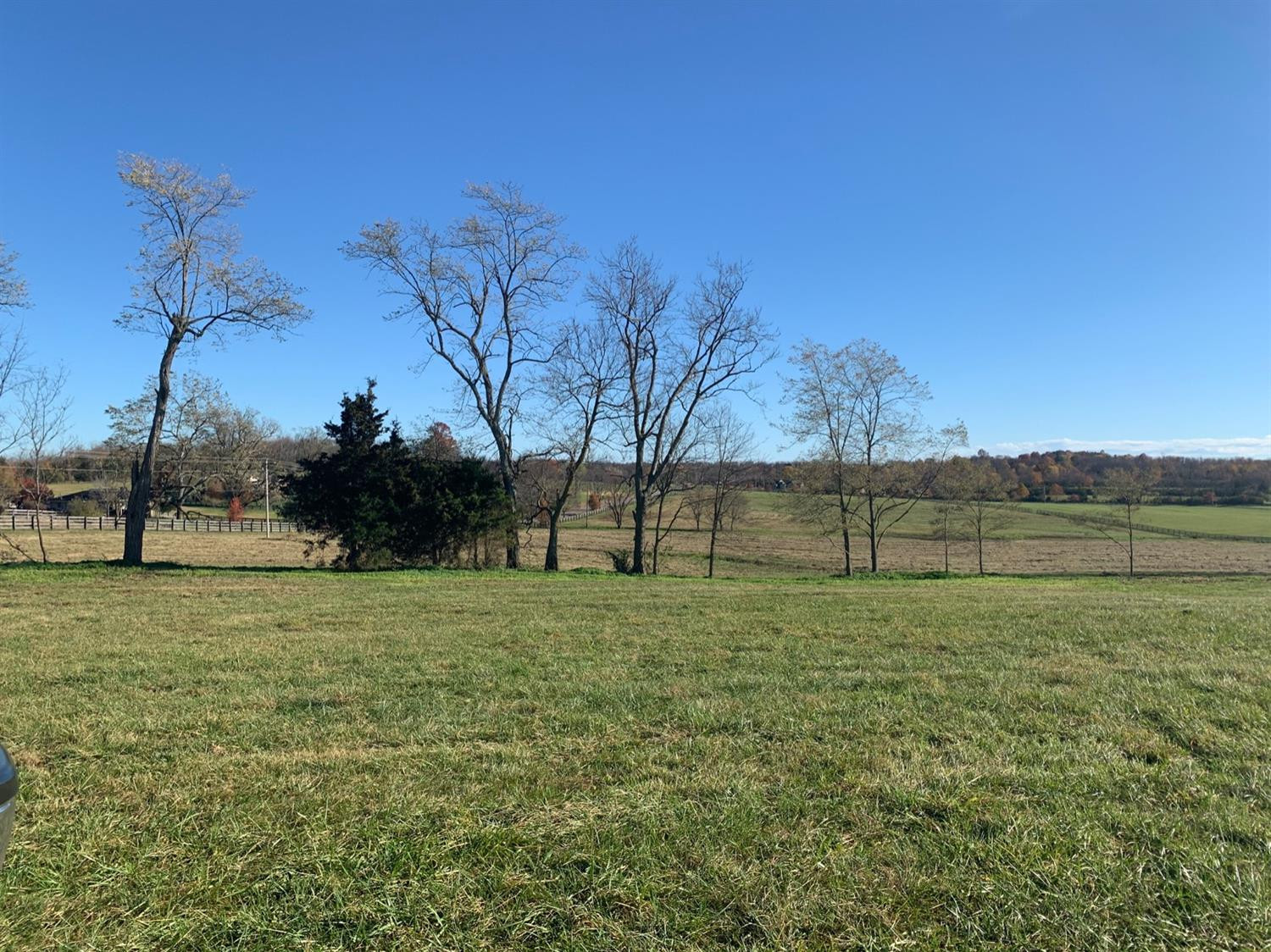 100 Clear Creek Road Versailles, KY 40383 - Photo 5 of 16 Photo 5
