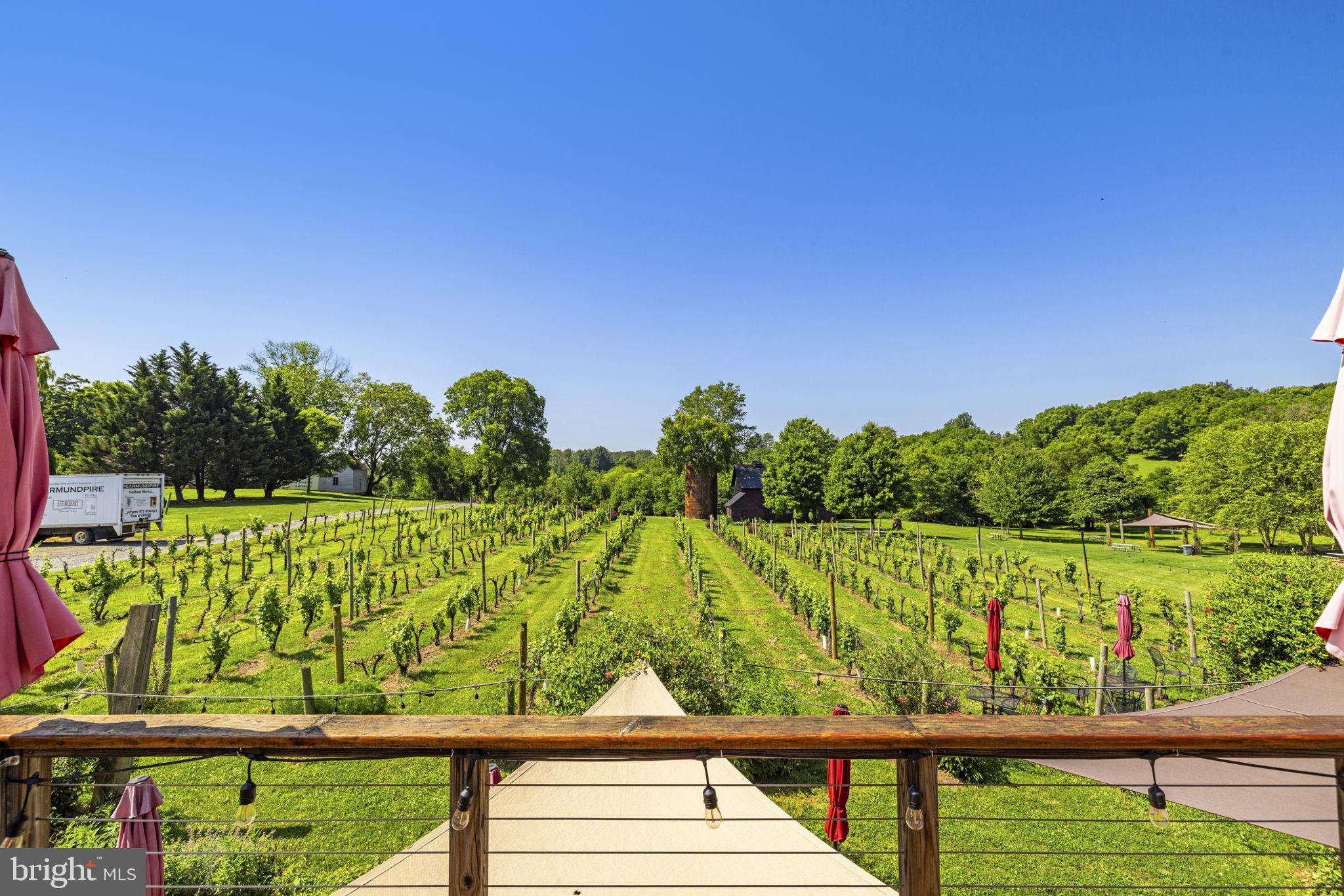 6190 Georgetown Road Broad Run, VA 20137 - Photo 18 of 95 Terrace overlooking one of the vineyards