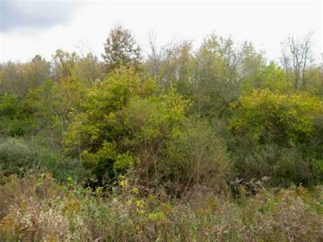 8901 Edwards Road Geneseo, IL 61254 - Photo 1 of 1 Gallery Image 1