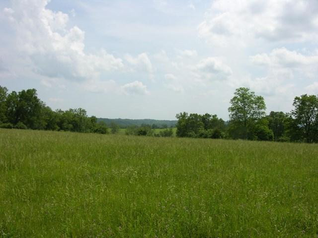 6559 Combs Ferry Road Winchester, KY 40391 - Photo 8 of 22 Listing Photo