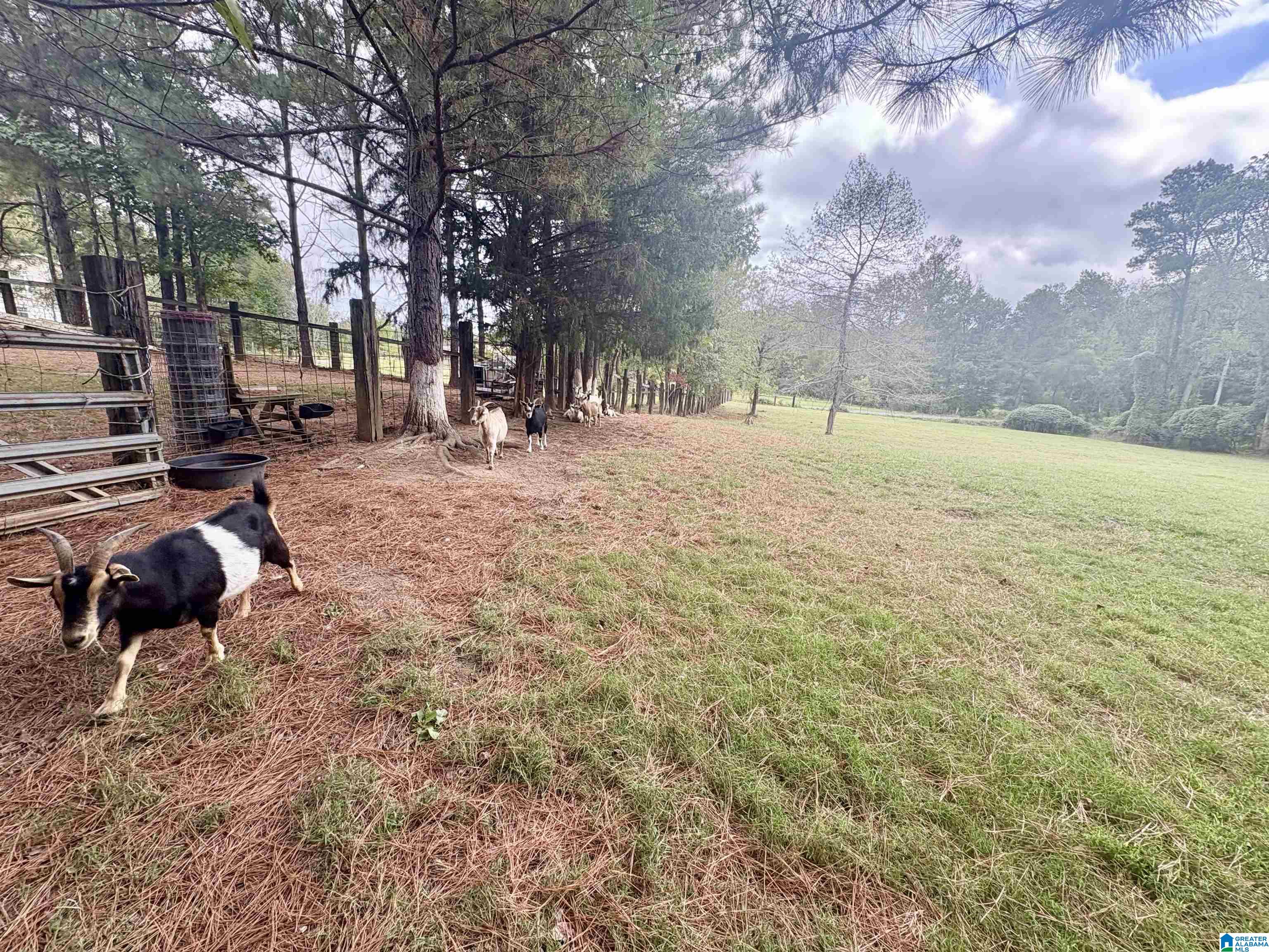 55 Honeycutt Road, Unit 55 Remlap, AL 35133 - Photo 15 of 21
