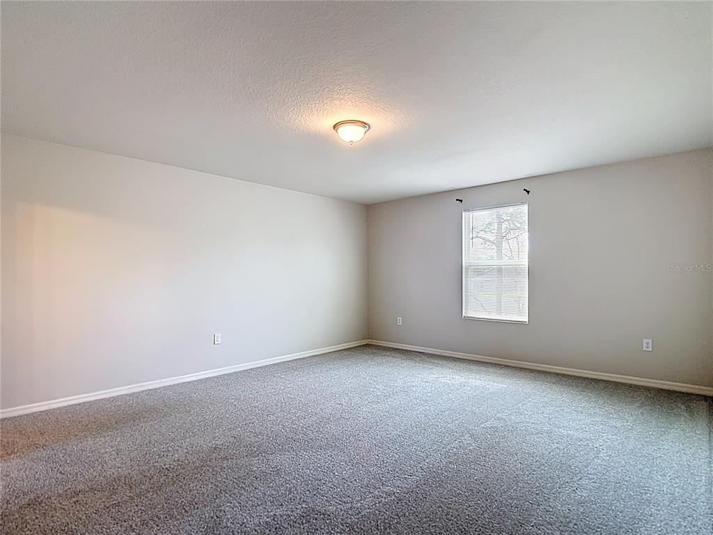 11374 Marcella Avenue Weeki Wachee, FL 34614 - Photo 38 of 70