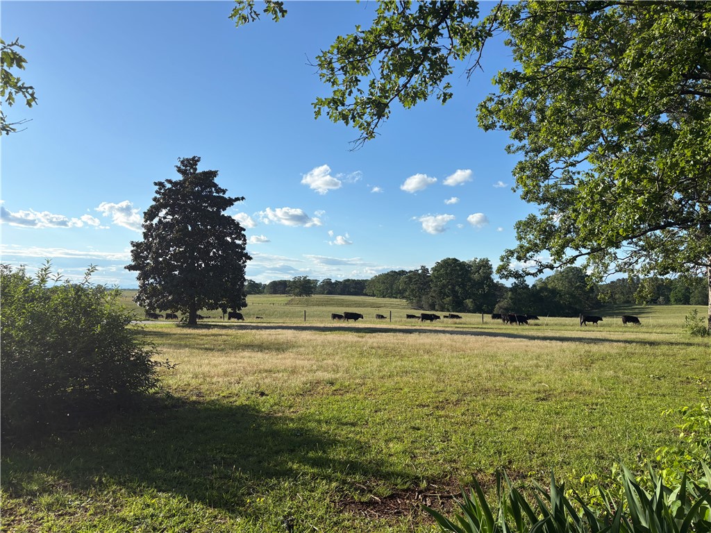 1014 Levis Smith Road Pendleton, SC 29670 - Photo 13 of 21 Expansive pastures await, offering serene views and ample space for rural living.
