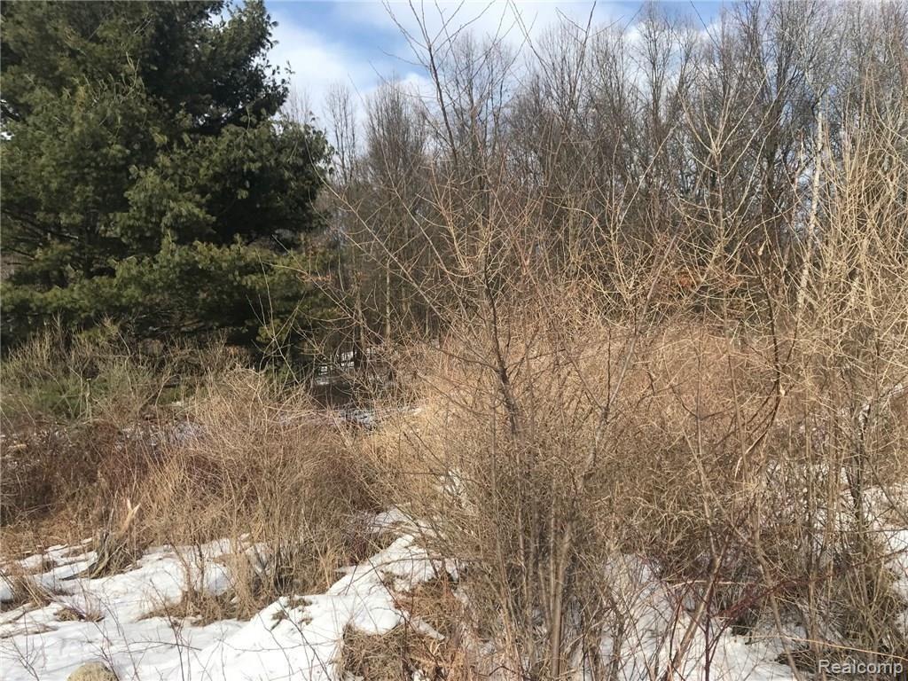 480 East Davison Lake Road Metamora, MI 48455 - Photo 25 of 25 Gallery Image 25