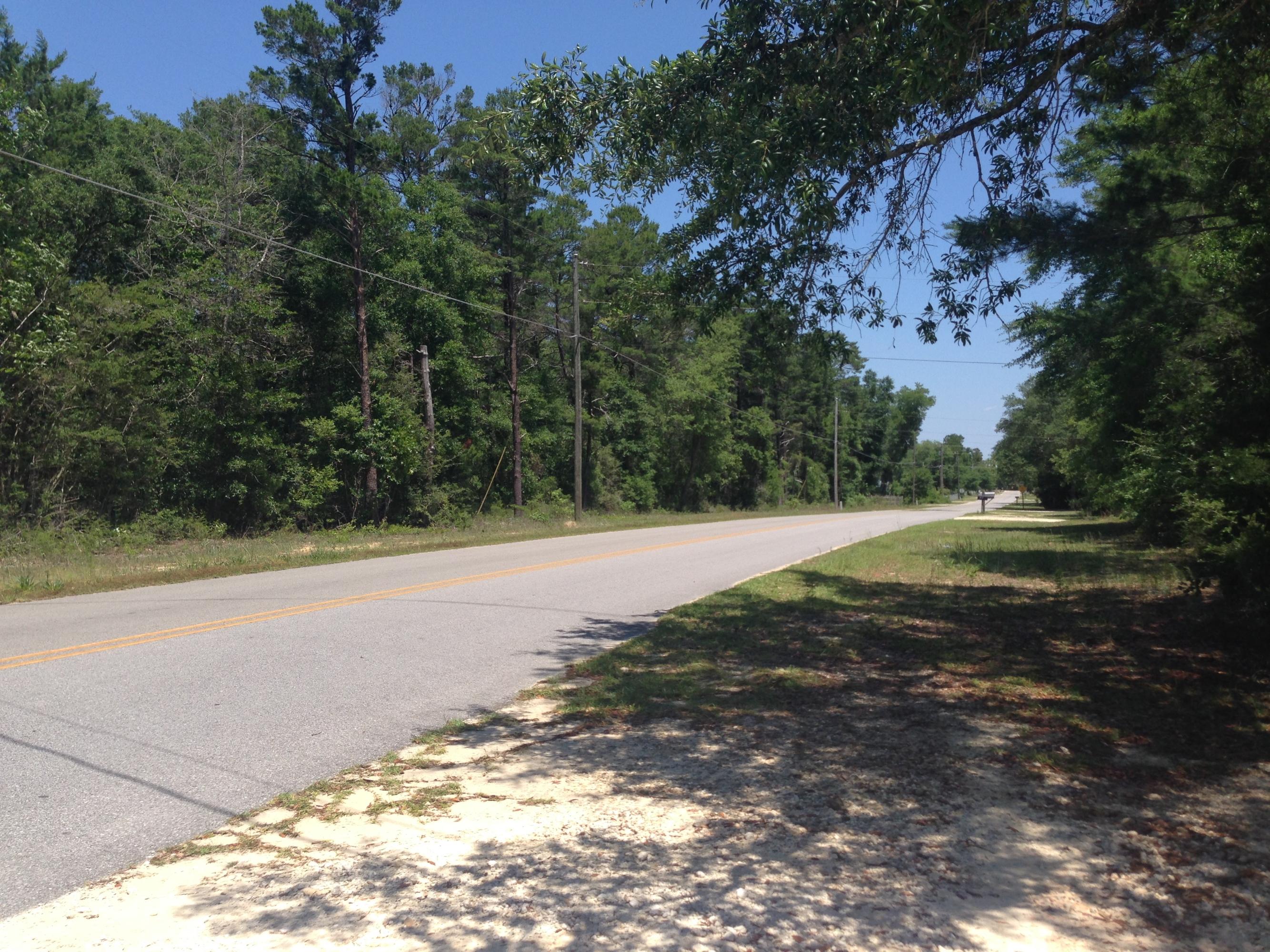 260 Roberts Road DeFuniak Springs, FL 32433 - Photo 22 of 24 a view of a yard with large trees