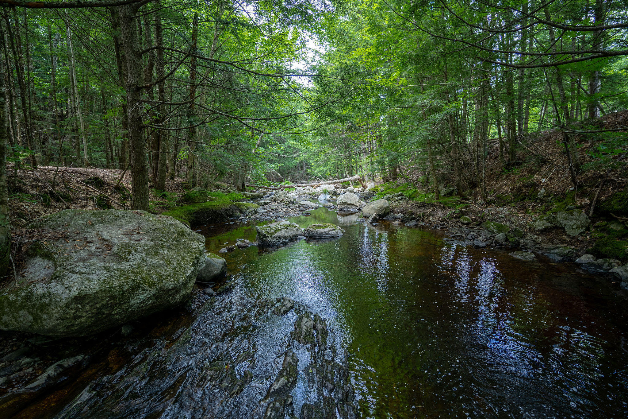36 Reservoir Road Paris, ME 04281 - Photo 15 of 30 Brook
