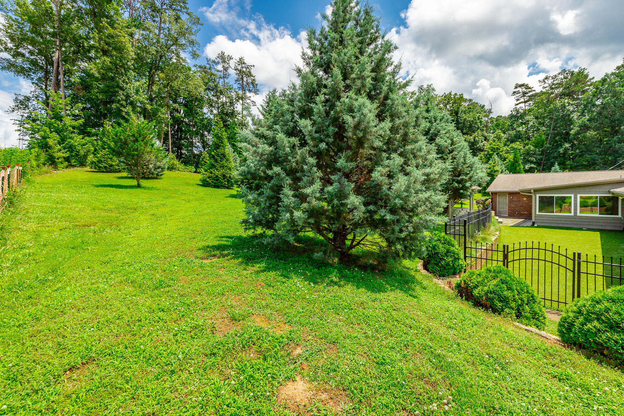 2046 North Concord Road Chattanooga, TN 37421 - Photo 92 of 101 2046 North Concord Road HD-90