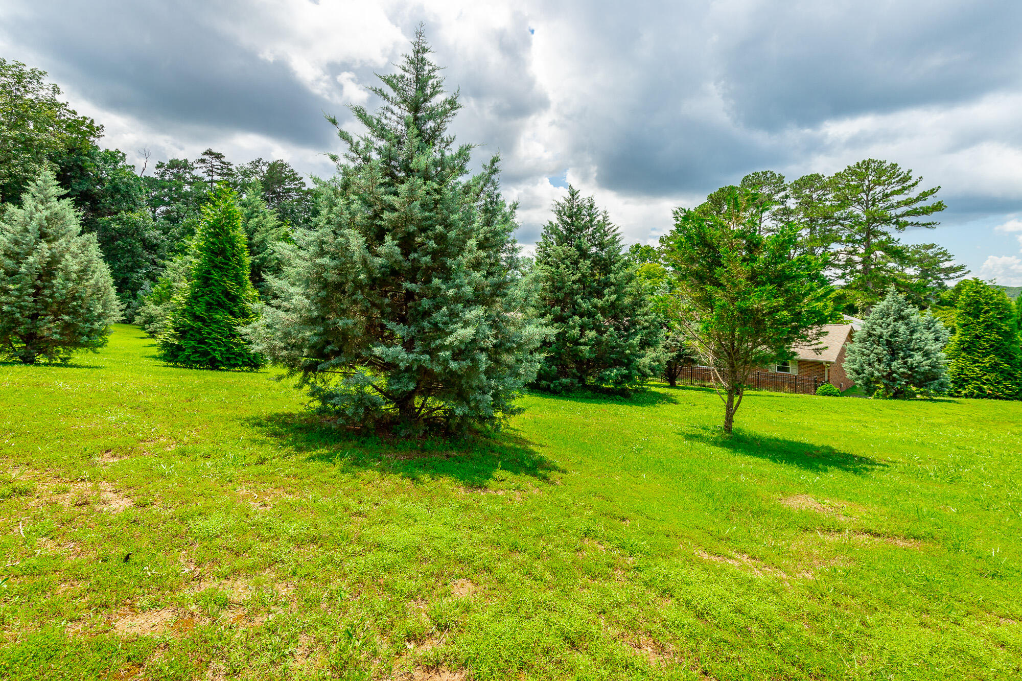 2046 North Concord Road Chattanooga, TN 37421 - Photo 93 of 101 2046 North Concord Road HD-91